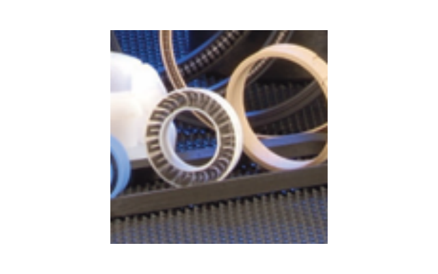 PTFE Lip Seals
